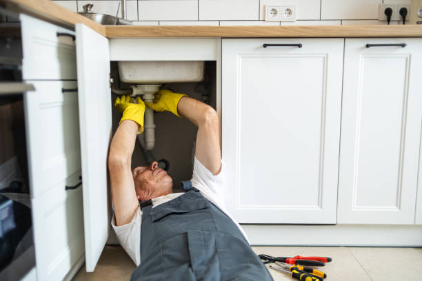 Best 24-Hour Plumber Near Me  in Alamo, TN