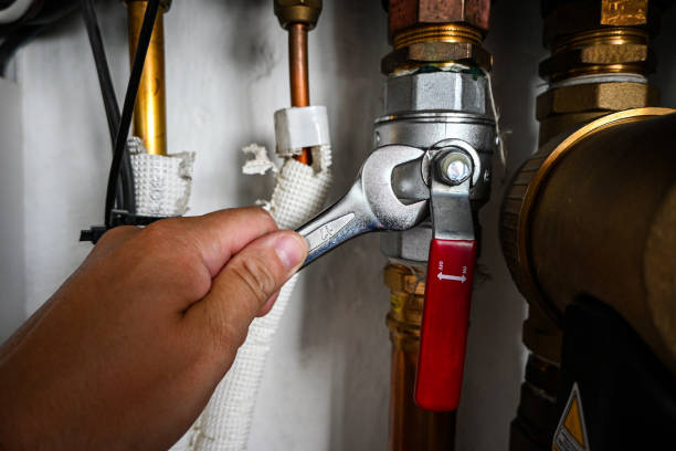 Best Plumbing Inspection Services  in Alamo, TN